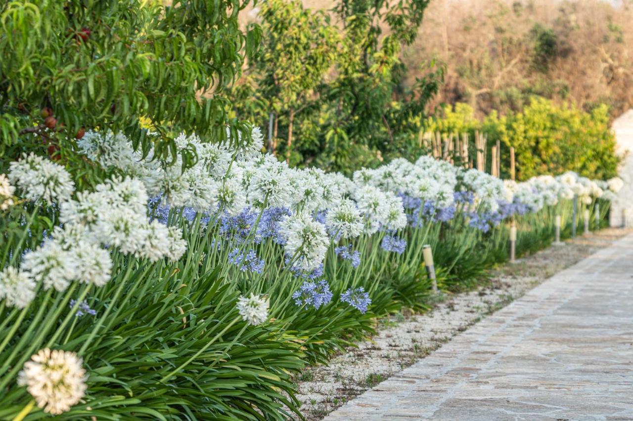 Agriturismo Panacea Санта-Чезареа-Терме Екстер'єр фото